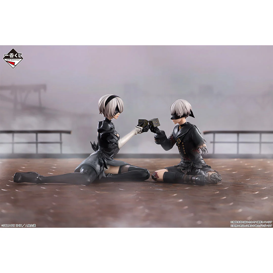 Thumbnail 13