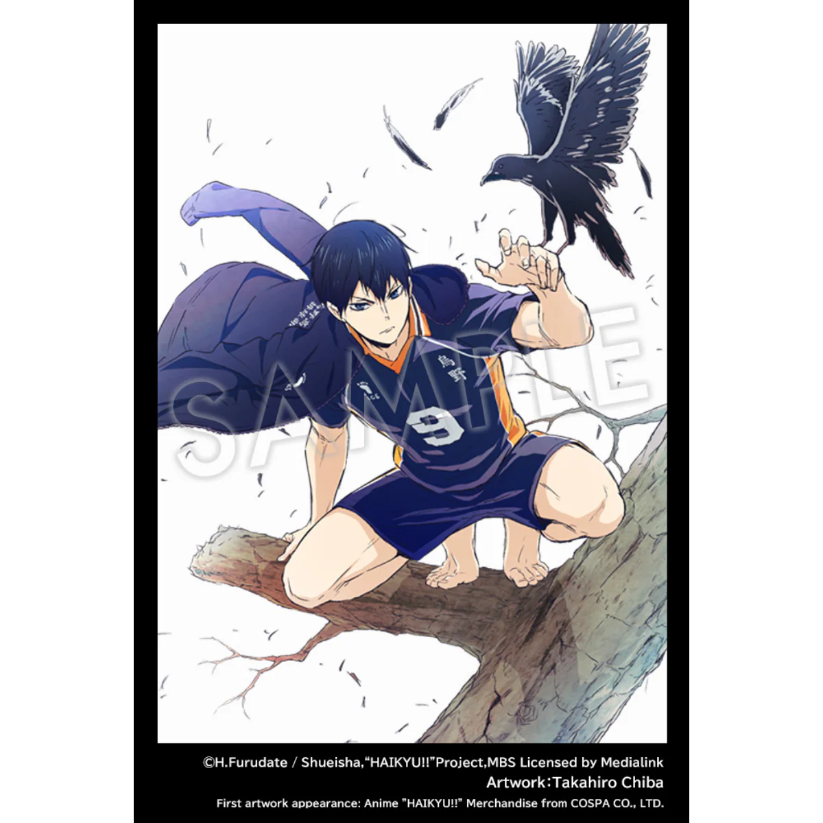 Thumbnail 12